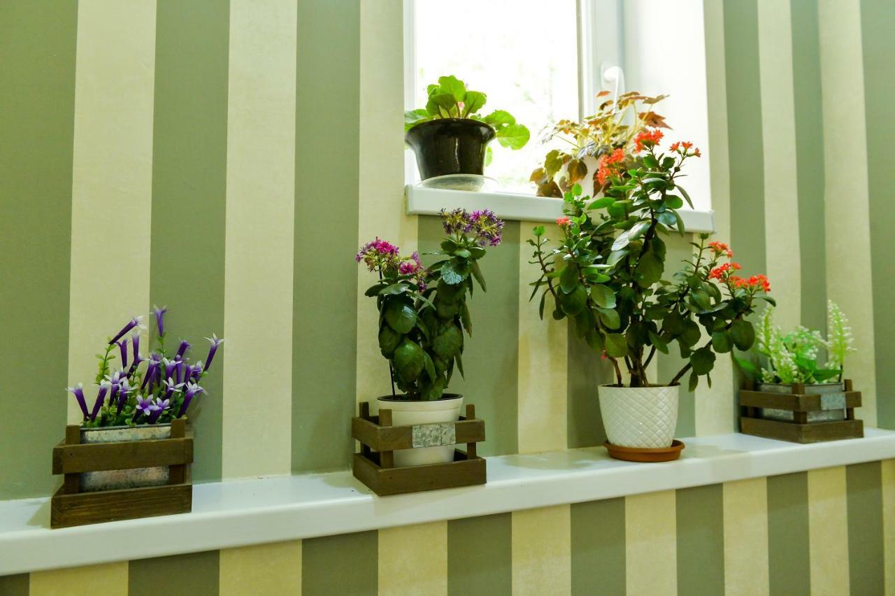 קוטאיסי Friendly Guest House מראה חיצוני תמונה